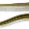 Baits Lures * | Discount Store Hogy Sand Eels